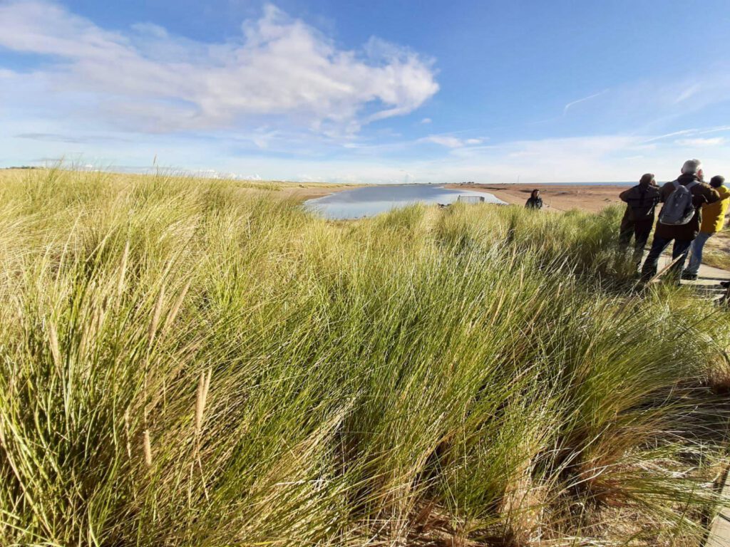 PHOTO-2024-12-29-14-18-00 4