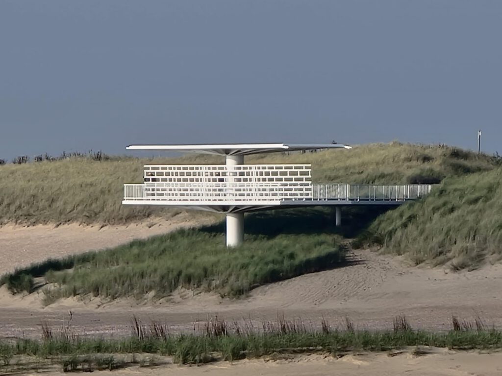 PHOTO-2024-12-29-14-18-00 5